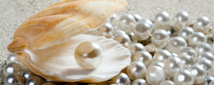 You My pearl, make me a pearl !